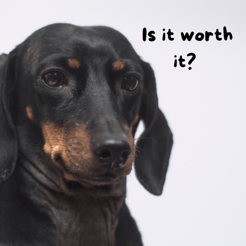 Turkey Tail Mushroom for Dogs, Milo Naturals, Dog Itchy Skin Home Remedy