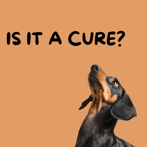 Turkey Tail Mushroom for Dogs With Lipomas, Milo Naturals, Turkey Tail Mushroom For dogs, turkey tail mushroom for dogs with lipomas