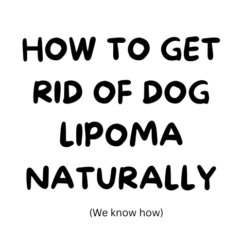 How to get rid of a dog lipoma naturally, turkey tail mushroom for dogs, milo naturals