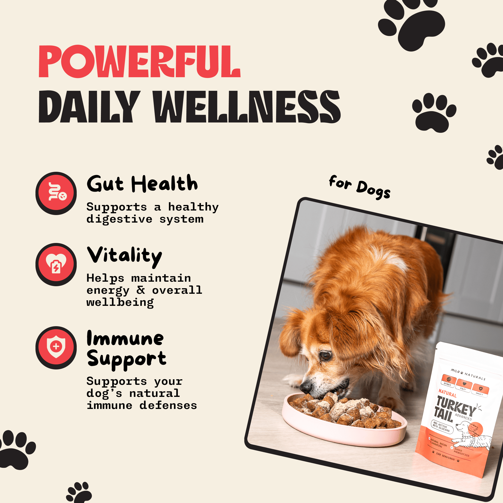 Milo Naturals - Turkey Tail Mushroom With Added Probiotics