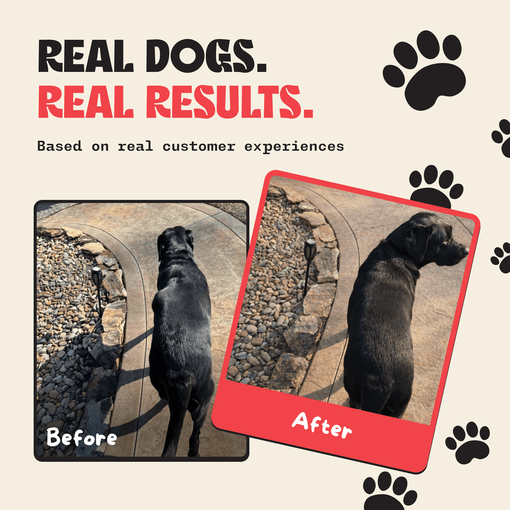 Milo Naturals - Turkey Tail Mushroom With Added Probiotics