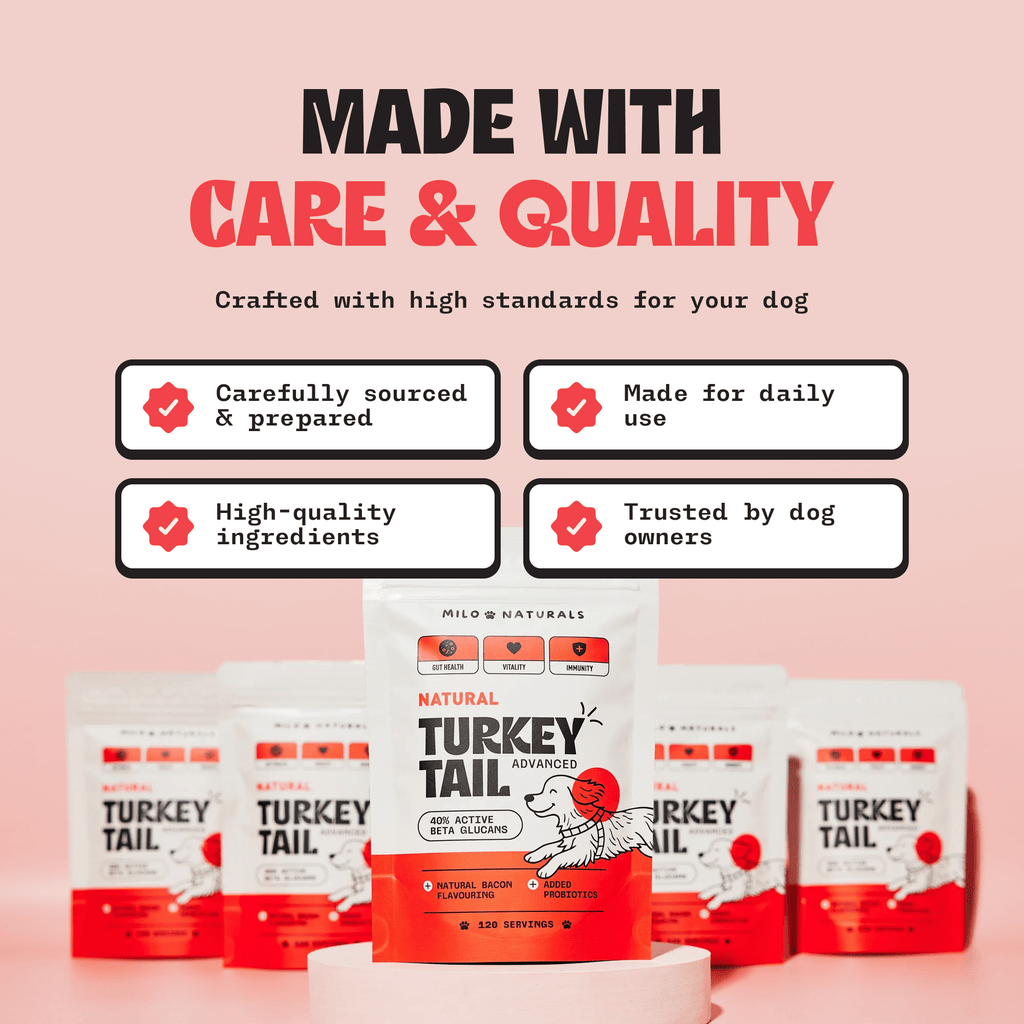 Milo Naturals - Turkey Tail Mushroom With Added Probiotics