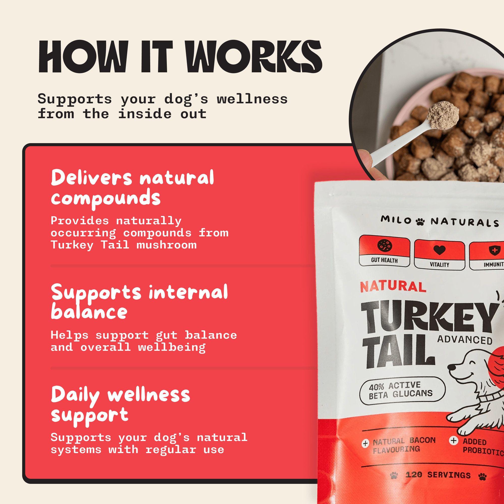 Turkey Tail Mushroom For Dogs, Milo Naturals, Buy turkey tail mushroom for dogs, turkey tail mushroom benefits, best turkey tail mushroom for dogs
