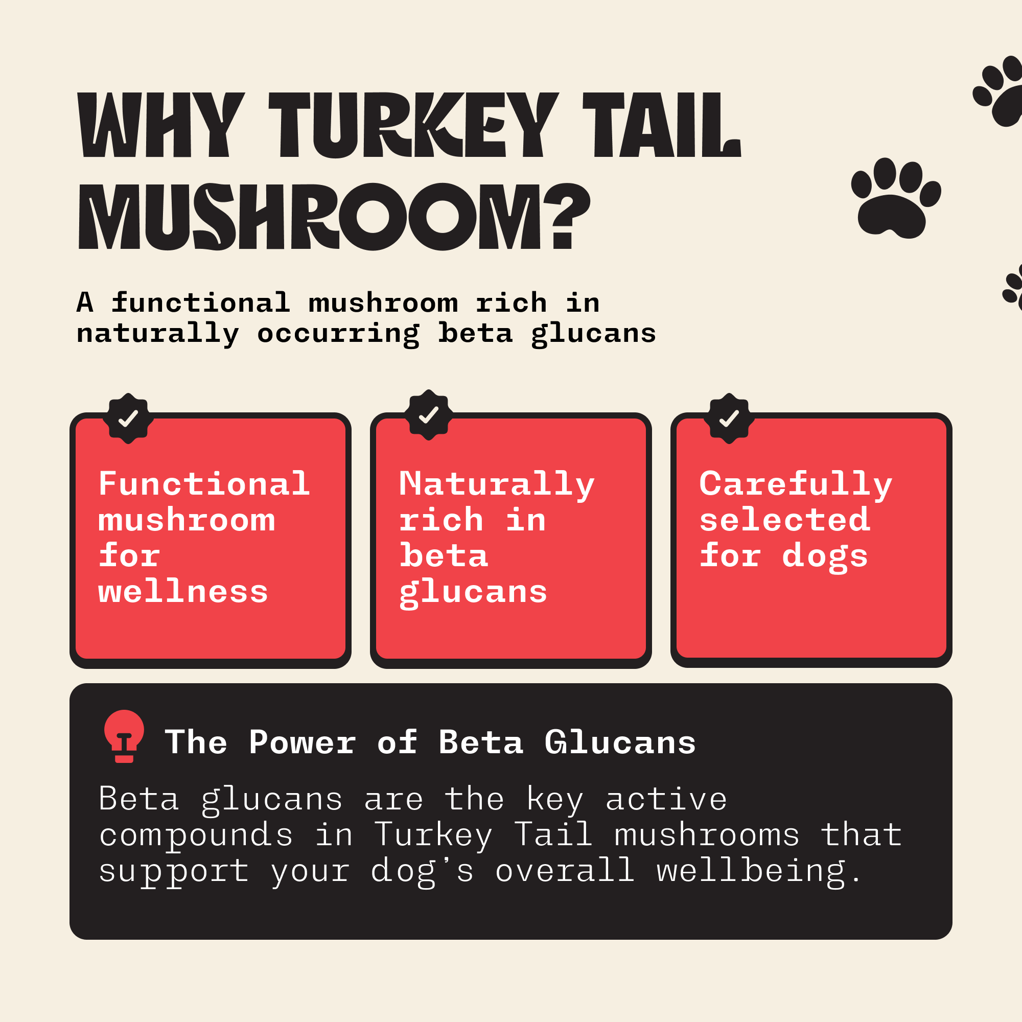 Turkey Tail Mushroom For Dogs, Milo Naturals, Buy turkey tail mushroom for dogs, turkey tail mushroom benefits, best turkey tail mushroom for dogs