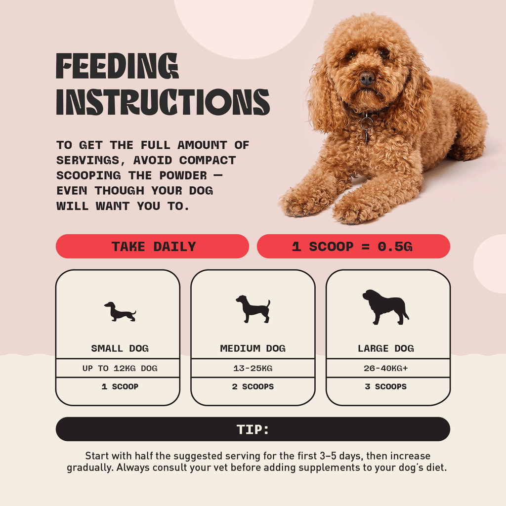 Turkey Tail Mushroom For Dogs, Milo Naturals, Buy turkey tail mushroom for dogs, turkey tail mushroom benefits