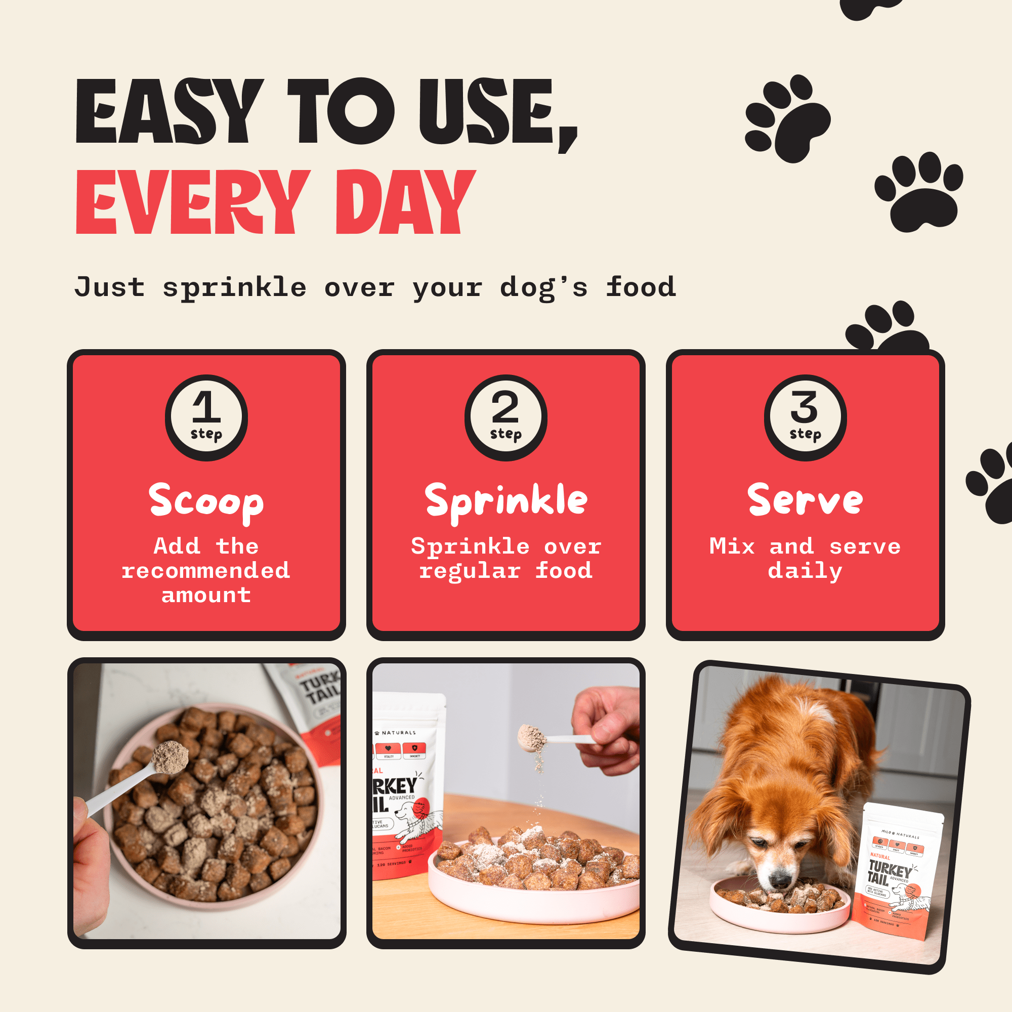 Turkey Tail Mushroom For Dogs, Milo Naturals, Buy turkey tail mushroom for dogs, turkey tail mushroom benefits, best turkey tail mushroom for dogs