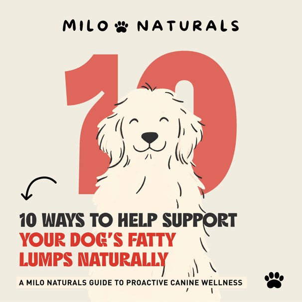 Turket Tail Mushroom for dogs, how to get rid of dogs lipoma, lipoma treatment for dog, how to get rid of my dogs fatty lumps
