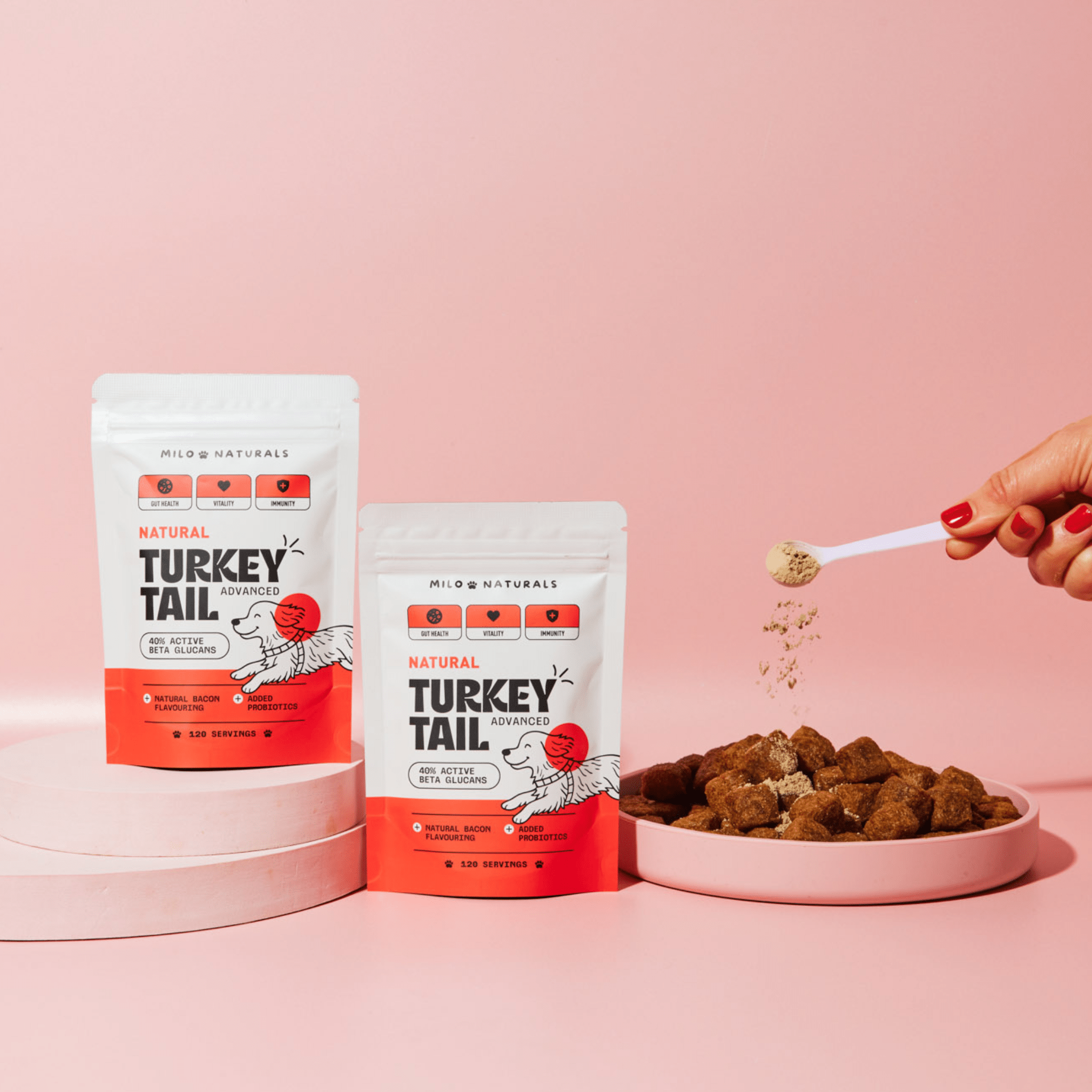 Turkey Tail Mushroom For Dogs, Milo Naturals, Buy turkey tail mushroom for dogs, turkey tail mushroom benefits, best turkey tail mushroom for dogs