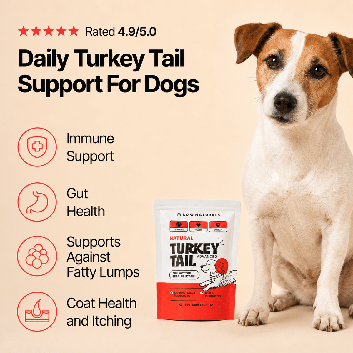 Turkey Tail Mushroom for Dogs