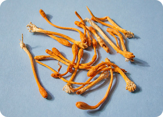 2. Cordyceps: Supports Oxygen Use, Energy and Stamina