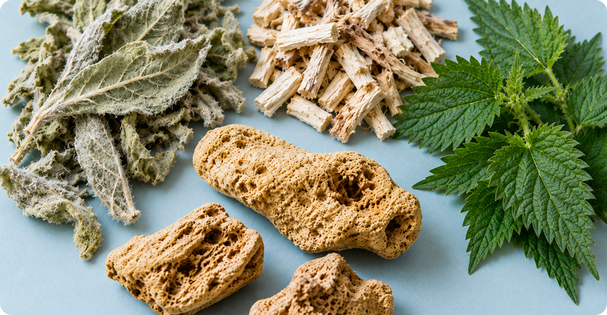 It Combines Tiger Milk Mushroom With Targeted Botanicals