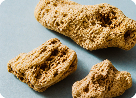 1. Tiger Milk Mushroom: Supports a Healthy Inflammatory Response in the Airways