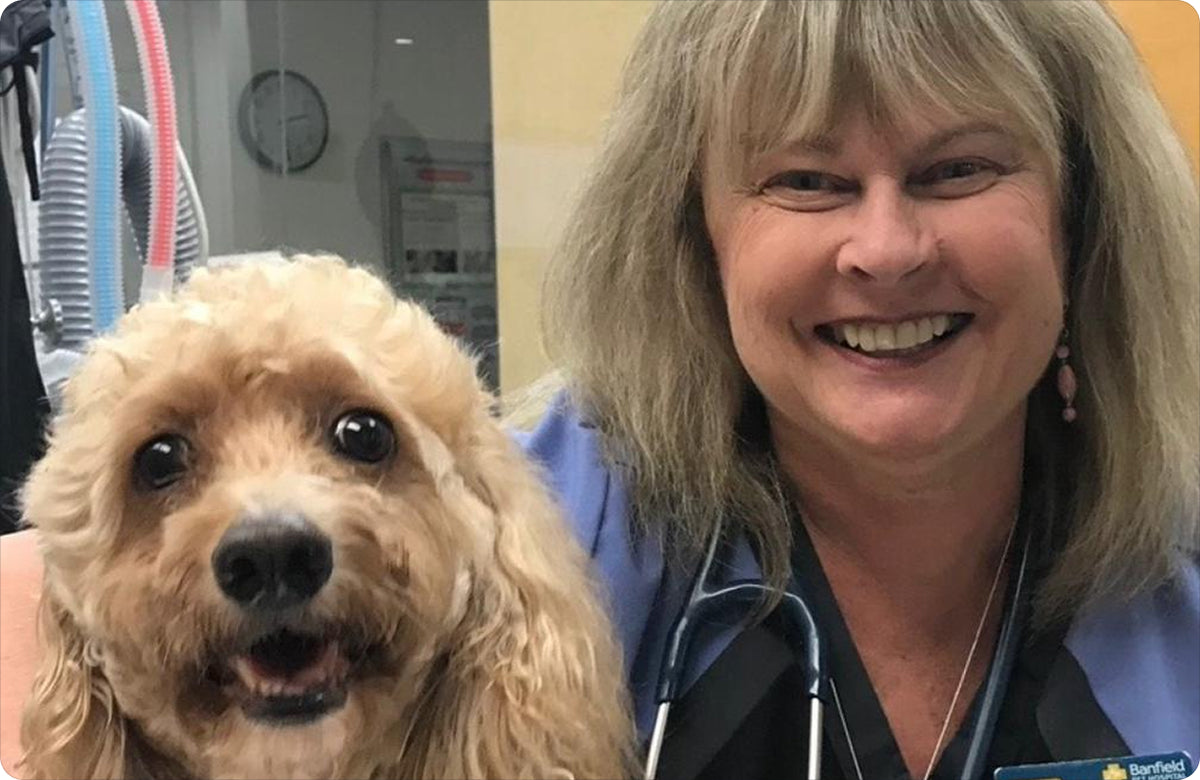 Dr. Shelby Neely, DVM