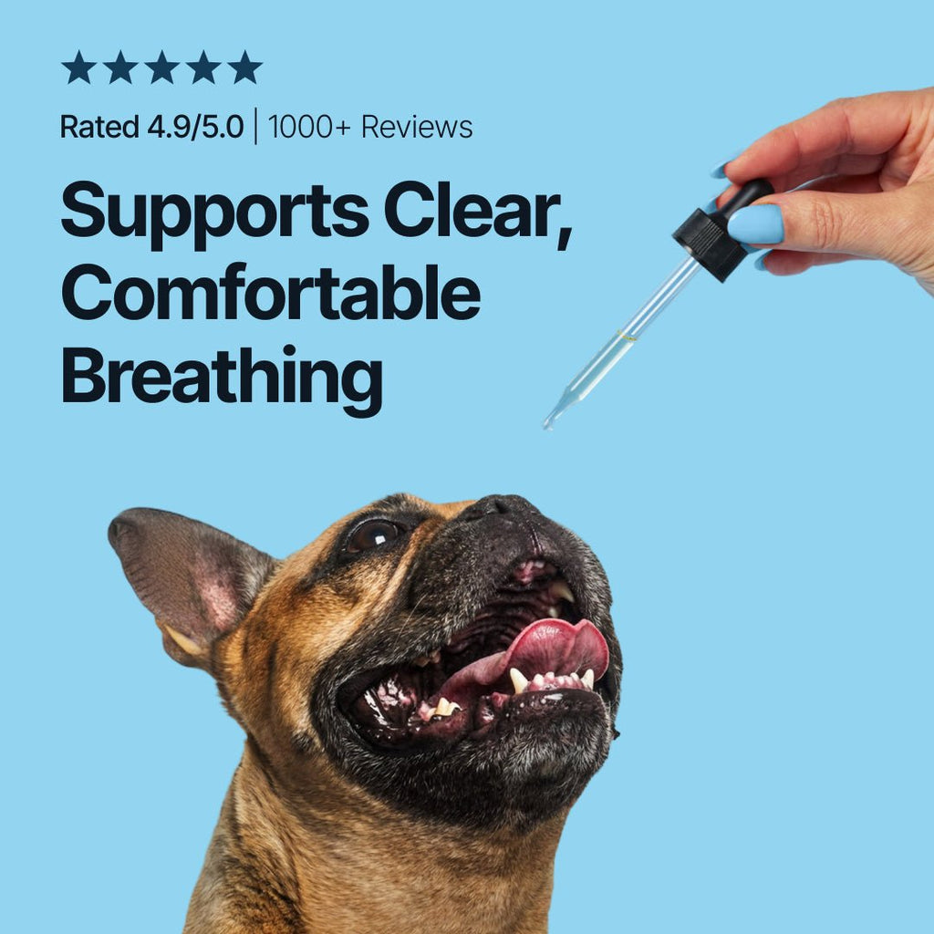 Respiratory Support for Flat-Faced Breeds