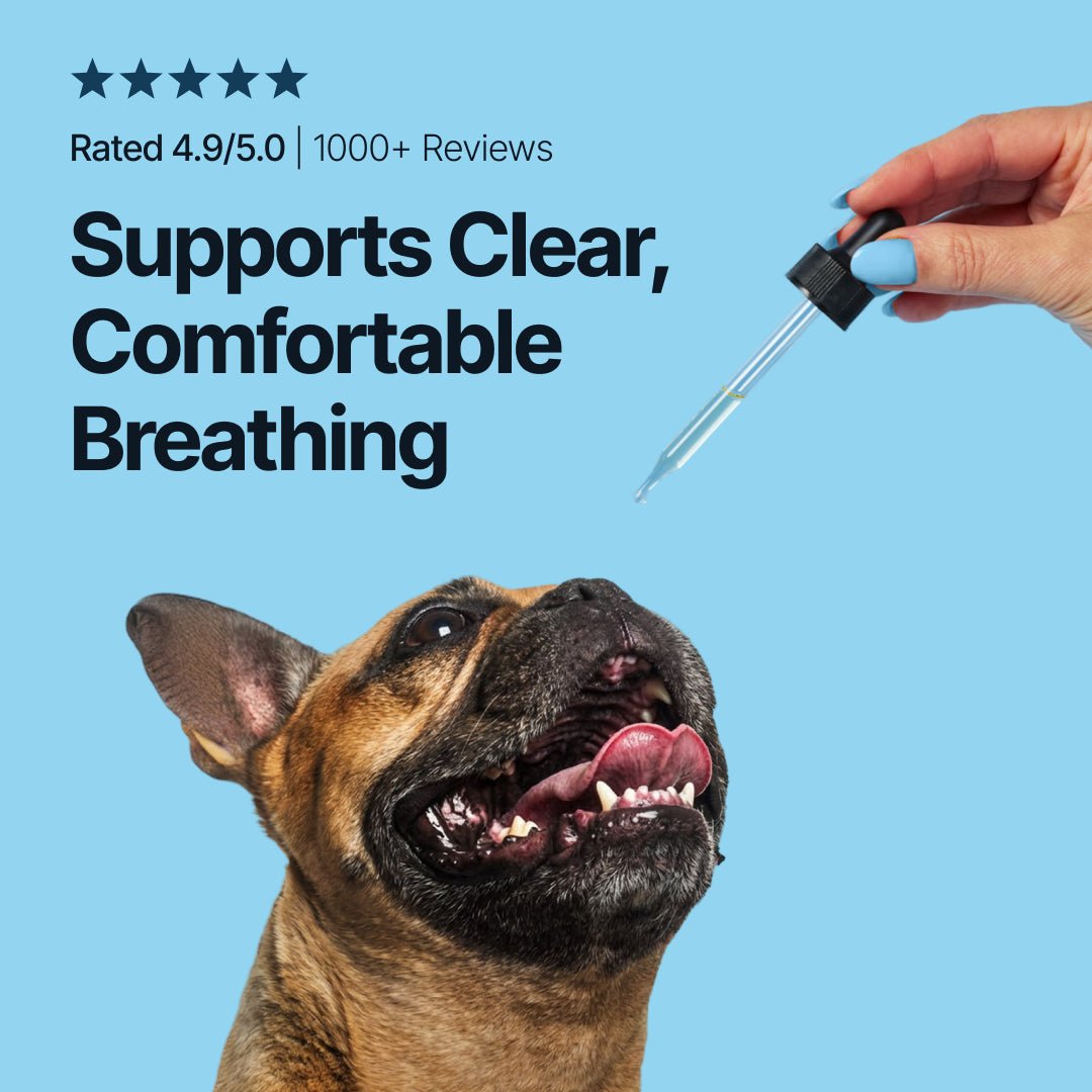 Respiratory Support for Flat-Faced Breeds