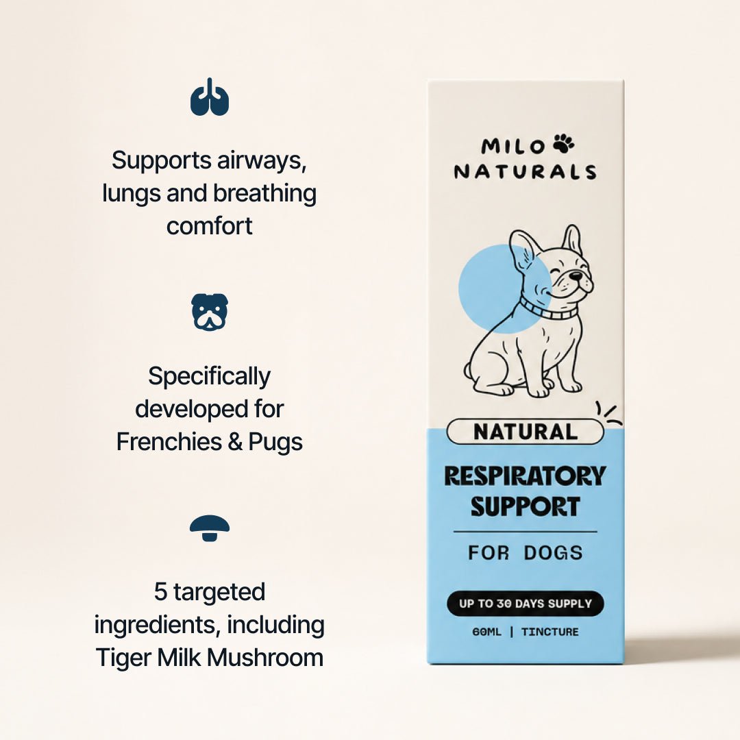 Respiratory Support for Flat-Faced Breeds