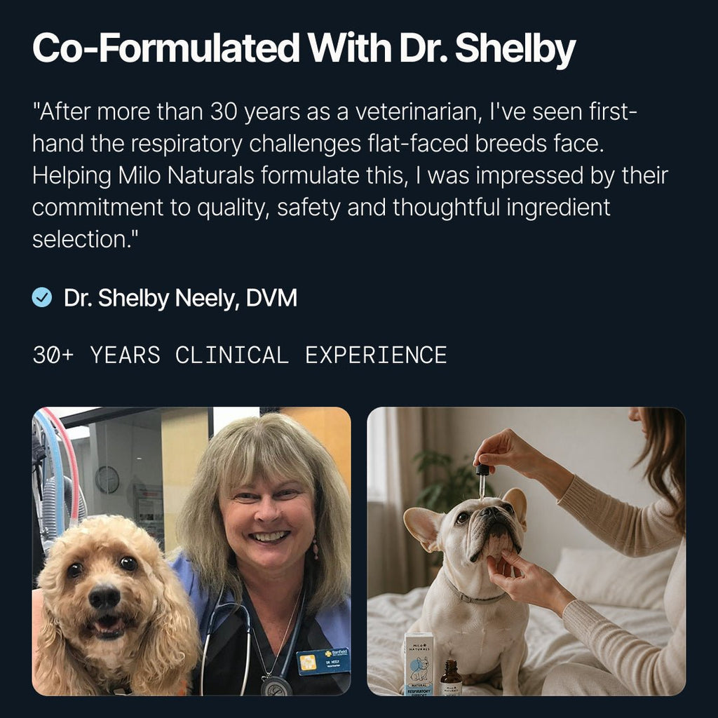 Respiratory Support for Flat-Faced Breeds