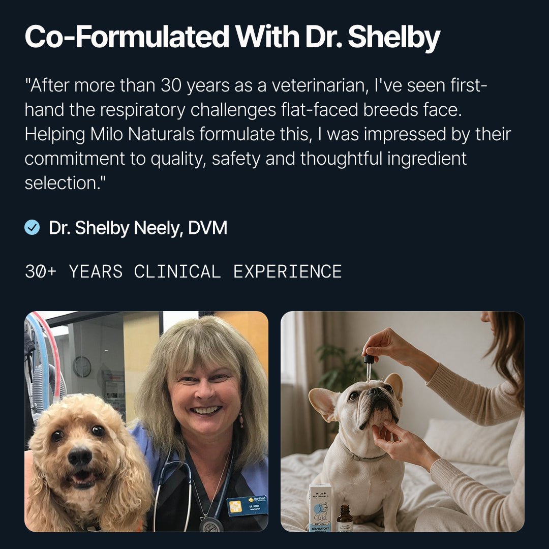 Respiratory Support for Flat-Faced Breeds